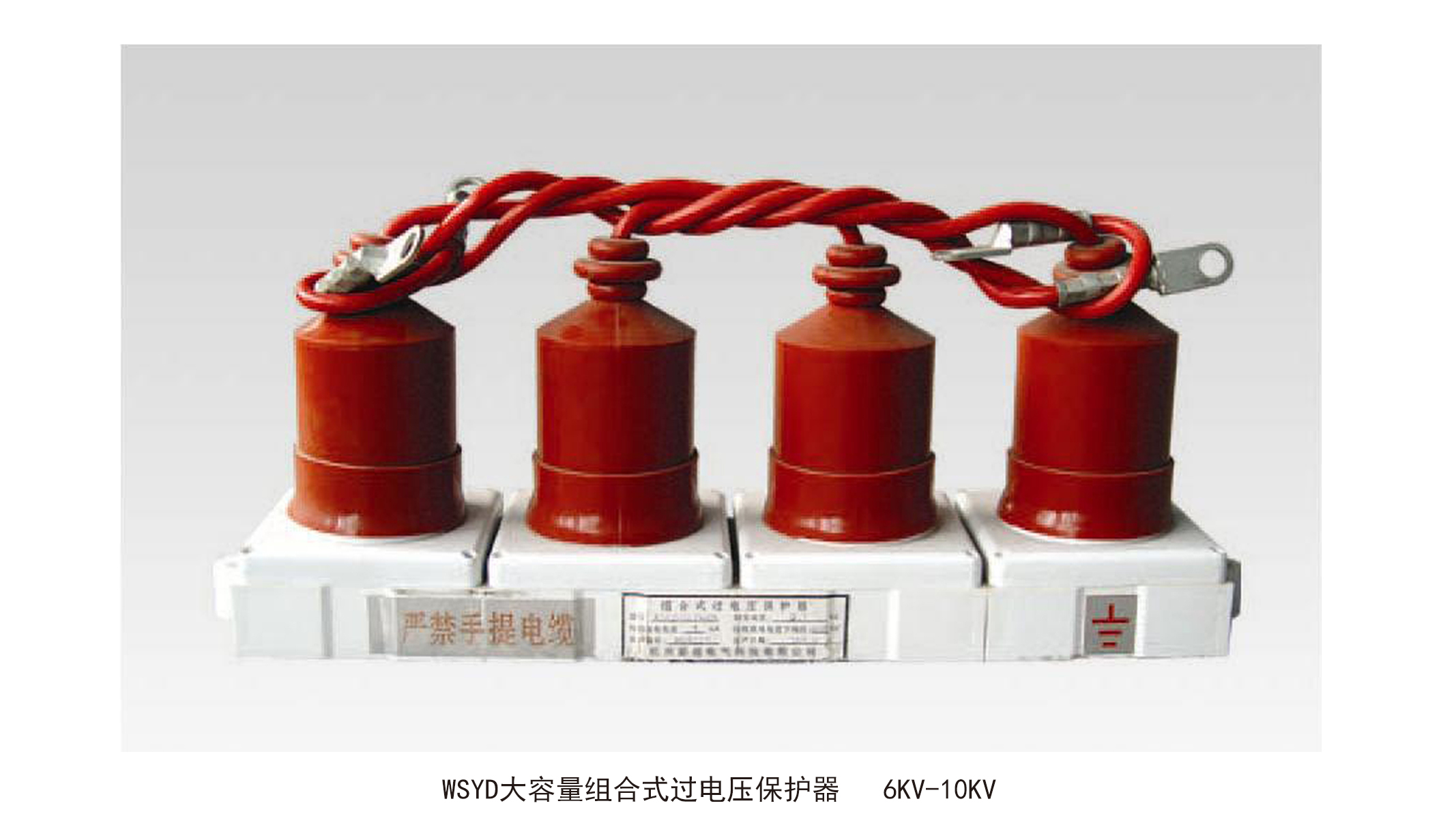 WSYD大容量组合式过电压保护器6KV-10KV